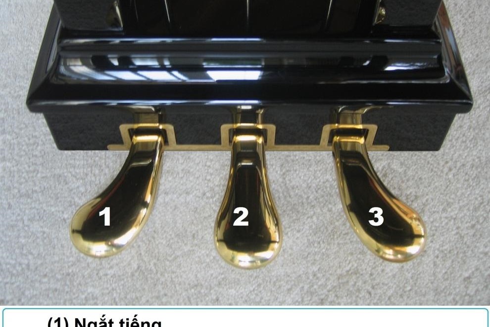 Pedal Piano