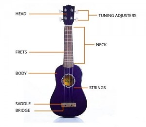 cau-tao-dan-ukulele-120714