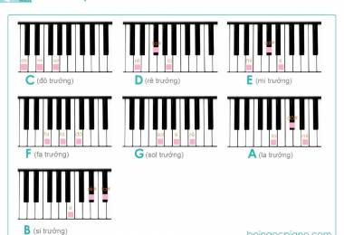 14 hợp âm cơ bản, đủ dùng trên Piano