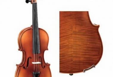 Những lưu ý khi lựa chọn mua Violin