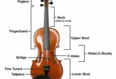 Cấu tạo và âm sắc của đàn vĩ cầm (Violin)