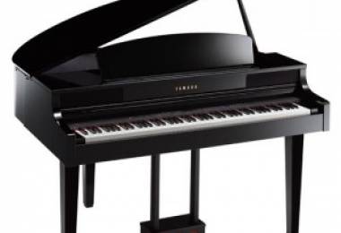 So sánh đàn Piano điện và đàn Organ Piano