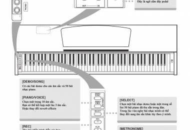 Hướng dẫn nhanh sử dụng Piano điện Yamaha