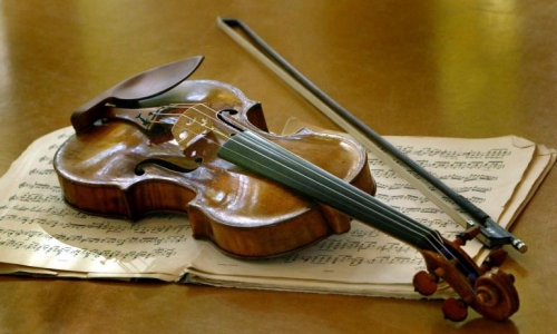 Cay_vi_cam_Stradivarius