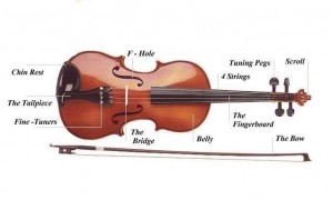 cau-tao-dan-violin